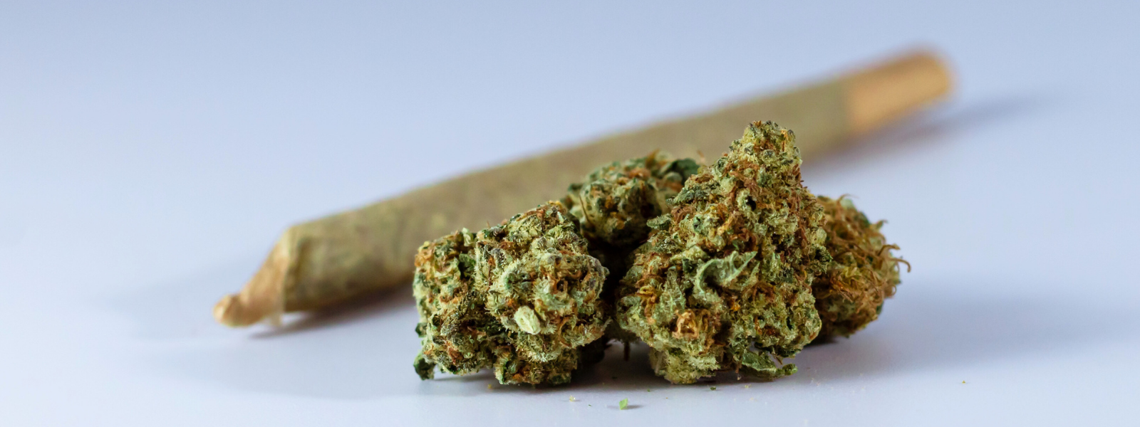 Marijuana Facts You Should Know 